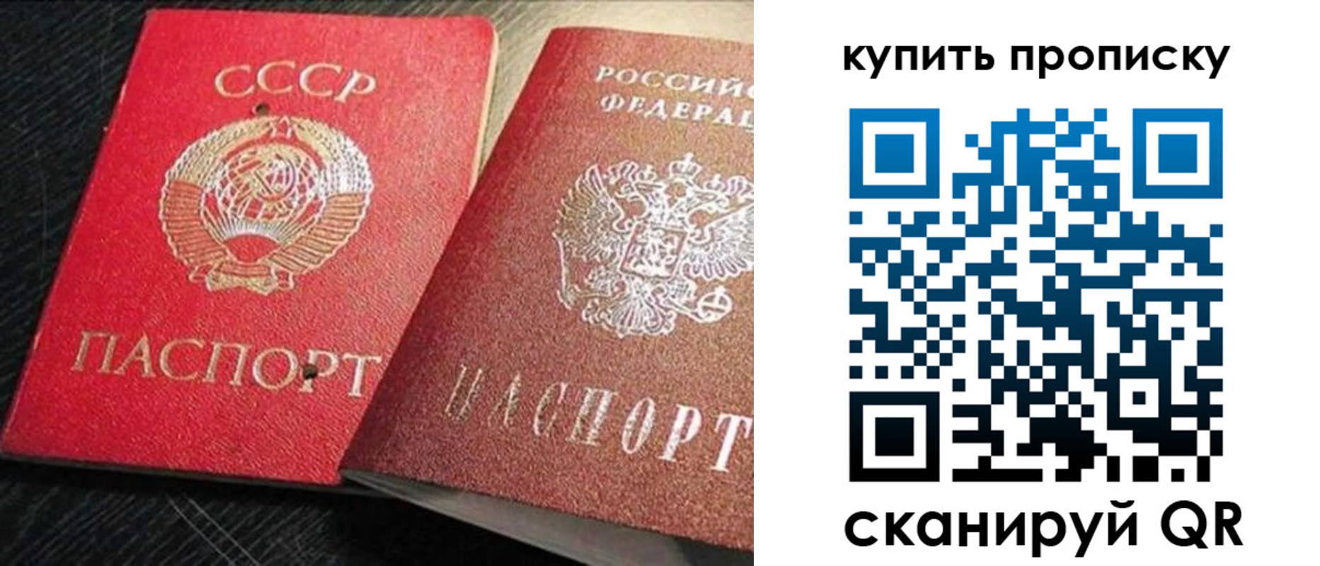 временная регистрация гарантия в Мурино